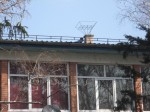 Mirko a hniezdo