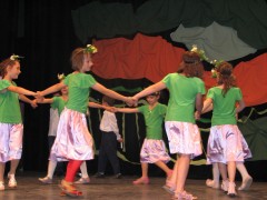 zavrsna priredba